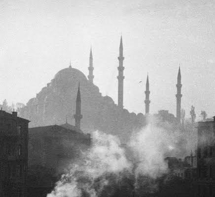 post image رحلةُ الأسطح: ما الذي تقوله الطوابق العلوية عن الكتابة؟
