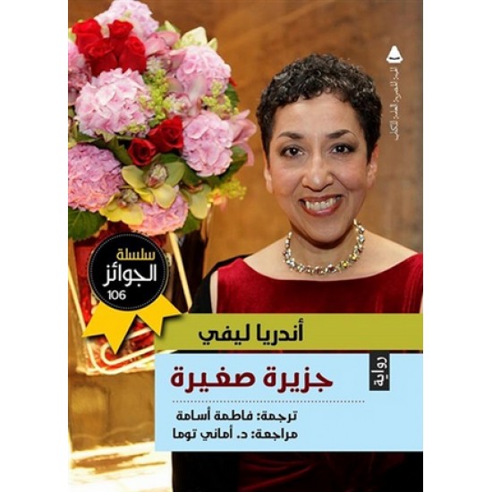 جزيرة صغيرة