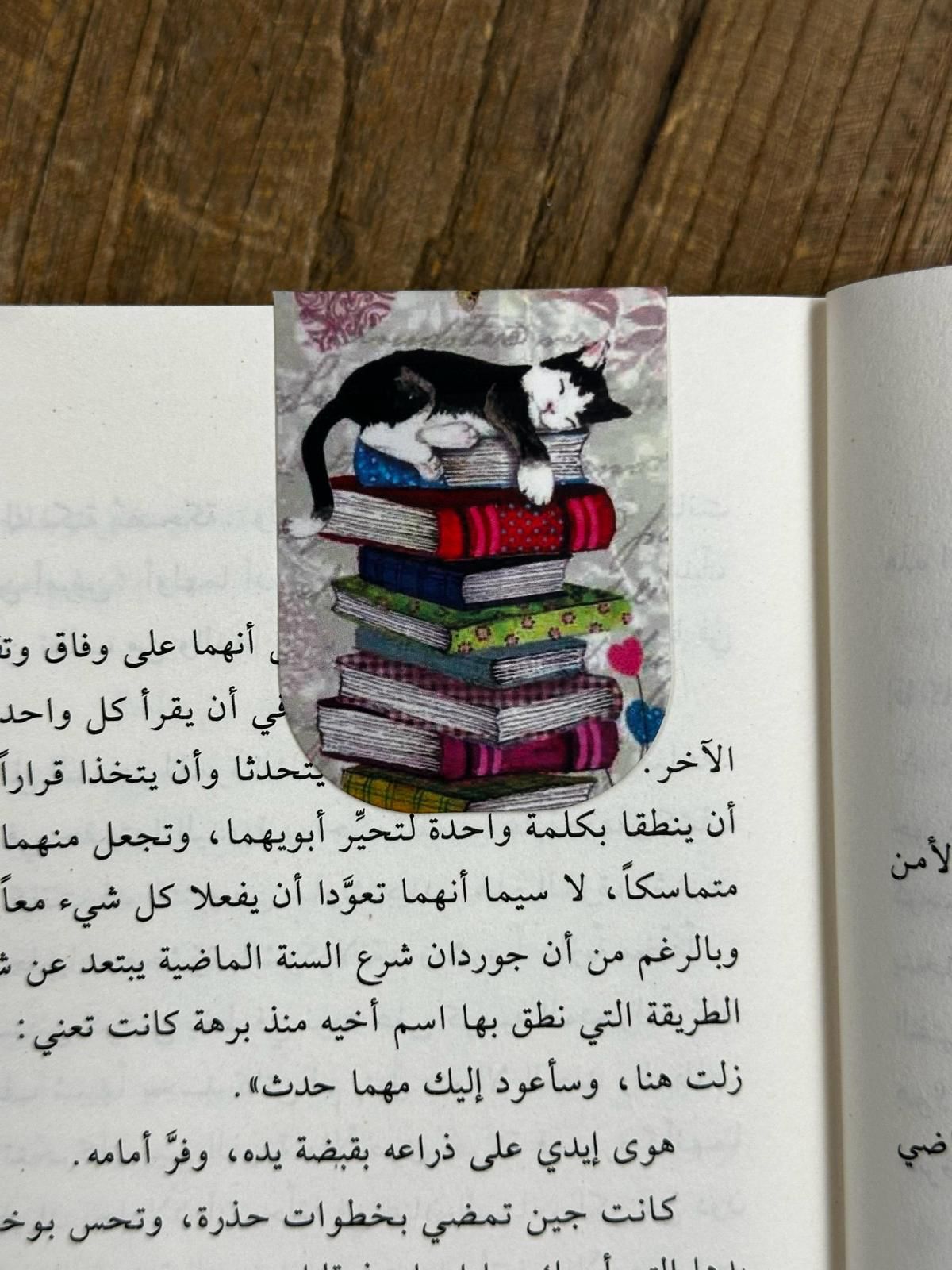 قاطع كتب مغناطيس - قطة فوق الكتب